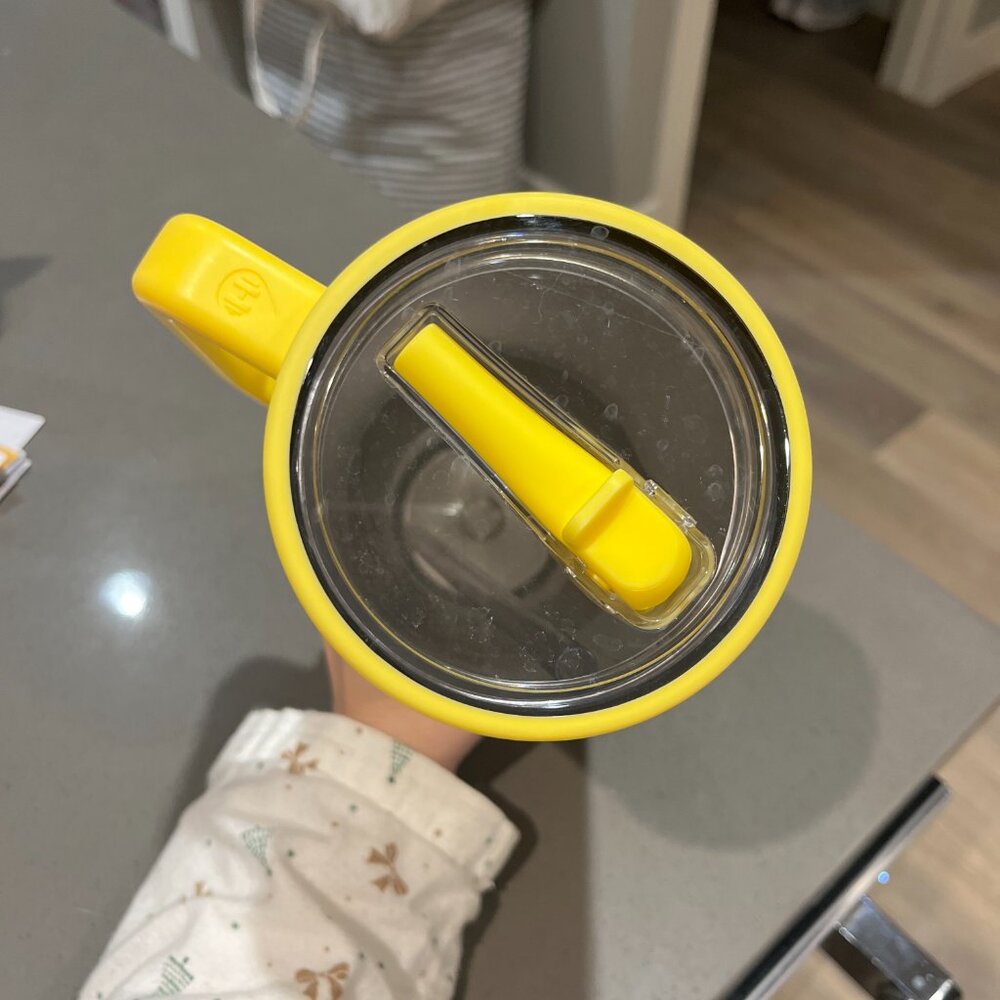 Hydrojug 40 oz 🍋 Main Squeeze 🍋 Lemon Fruit Tumbler - RETIRED SOLD OUT - Picture 6 of 6